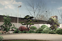 景觀設計公司：景觀設計流程有哪些？